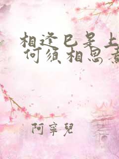 相逢巳是上上签 何须相思煮余年