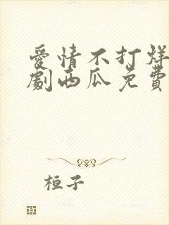 爱情不打烊电视剧西瓜免费观看