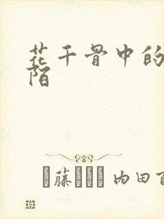 花千骨中的杀阡陌