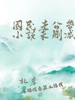 国民老公带回家小说未删减