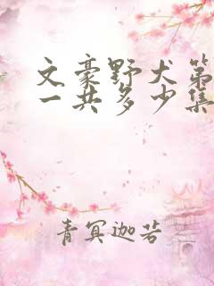 文豪野犬第二季一共多少集