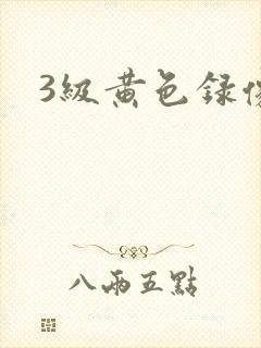 3级黄色录像片