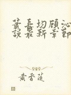 萧长均顾沁儿小说最新章节免费阅读