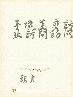 手机怎么访问禁止访问的网站