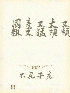 国产又大又黄又粗又猛视频