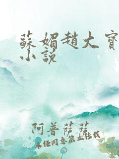 苏媚赵大宝儿媳小说