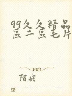 99久久精品一区二区毛片