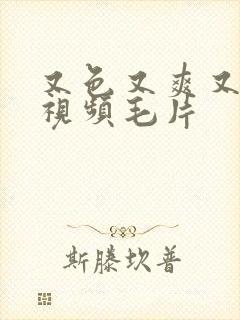 又色又爽又黄又视频毛片