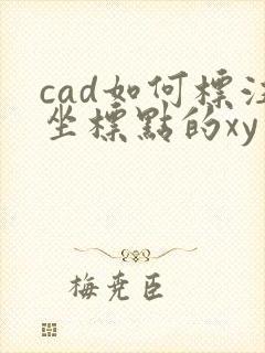 cad如何标注坐标点的xy