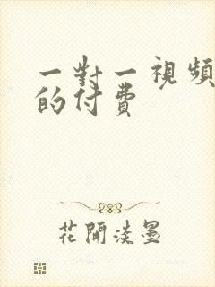 一对一视频聊天的付费