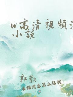 w高清视频激情小说