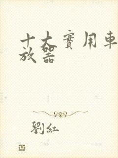 十大实用车载播放器