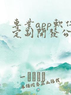 专业app软件定制开发公司