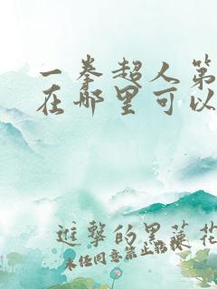 一拳超人第3季在哪里可以看