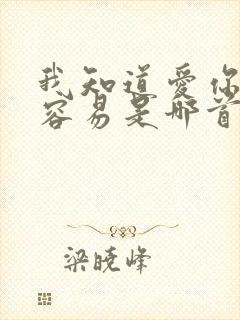 我知道爱你并不容易是哪首歌的歌词