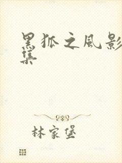 黑狐之风影19集