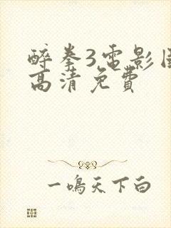 醉拳3电影国语高清免费