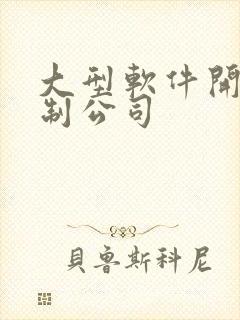 大型软件开发定制公司