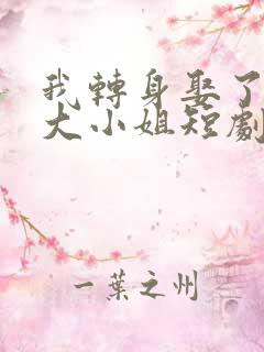 我转身娶了京圈大小姐短剧