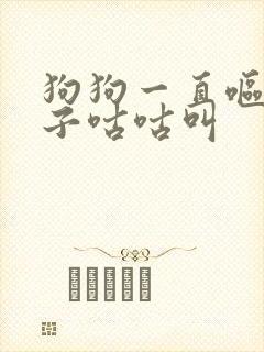 狗狗一直呕吐肚子咕咕叫