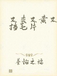 又爽又黄又无遮挡毛片