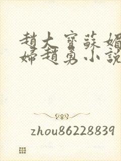 赵大宝苏媚儿媳妇赵勇小说