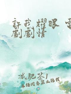 许我耀眼 电视剧剧情