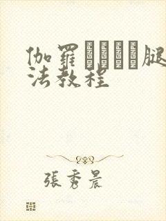 伽罗ちゃんが腿法教程