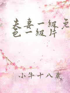 夫妻一级免费黄色一级片