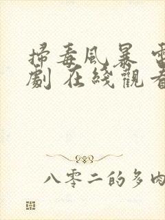 扫毒风暴 电视剧 在线观看