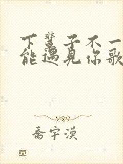 下辈子不一定还能遇见你歌词