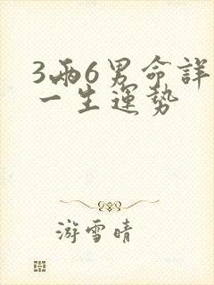 3两6男命详解一生运势