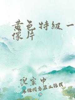 黄色特级一级录像片