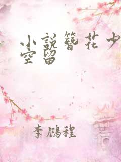 小说簪花少年郎空留