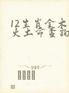 12生肖金木水火土命查询表