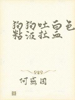 狗狗吐白色泡沫粘液拉血