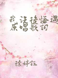 我没后悔遇见你原唱歌词