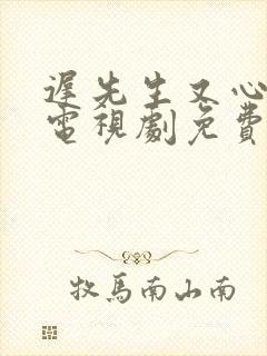 迟先生又心动了电视剧免费观看高清