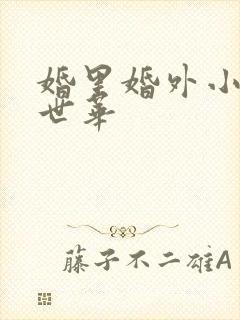 婚里婚外小说盛世华