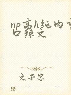 np高h纯肉重口辣文