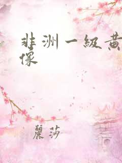 非洲一级黄色录像