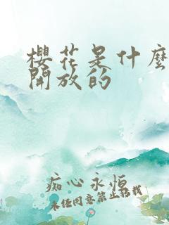 樱花是什么时候开放的