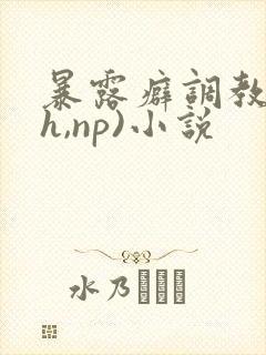 暴露癖调教(高h,np)小说