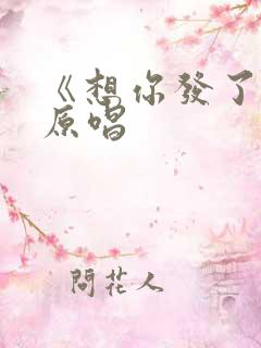 《想你发了疯》原唱