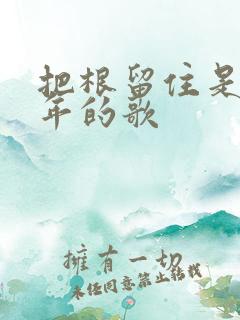 把根留住是哪一年的歌