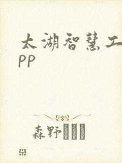 太湖智慧工地app