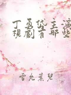 丁勇岱主演的电视剧有哪些