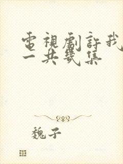 电视剧许我耀眼一共几集