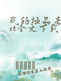 我的极品老婆txt全文下载