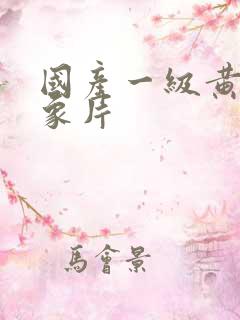 国产一级黄色录象片